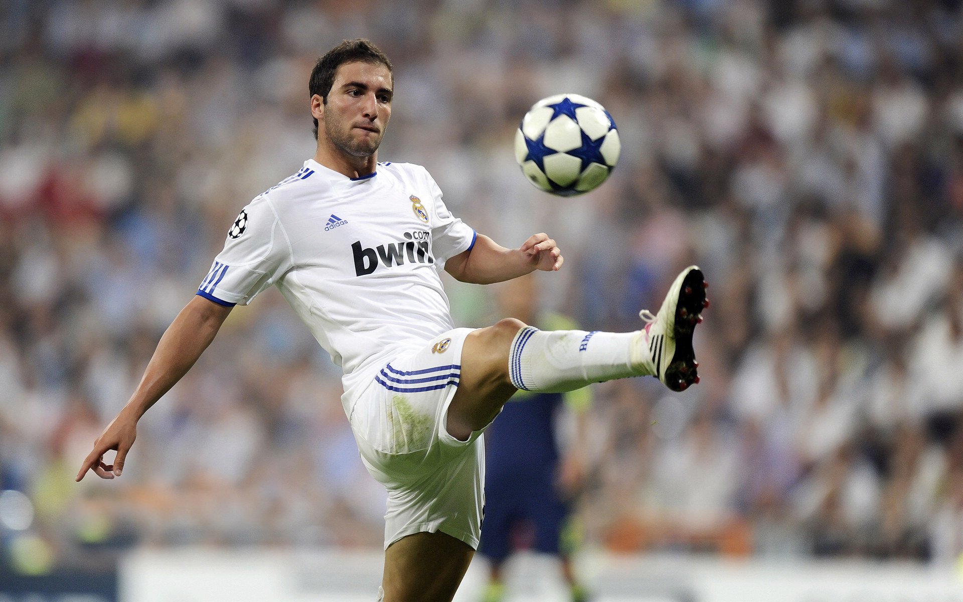 世界杯激热对决：梦想成真！，世界杯集锦视频